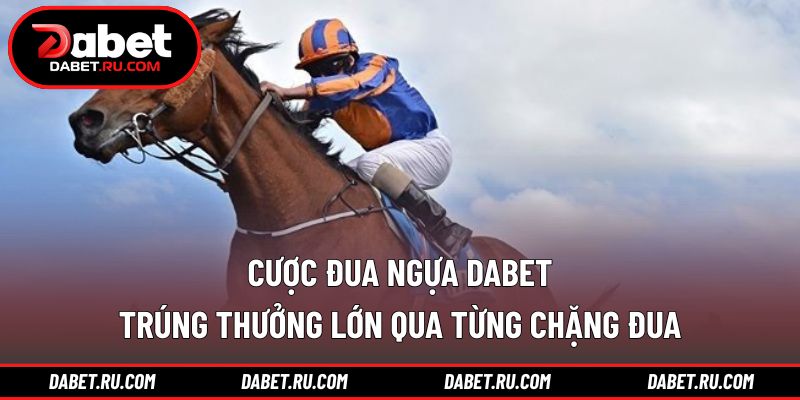 Cược đua ngựa DABET