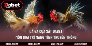 Đá gà cựa sắt DABET