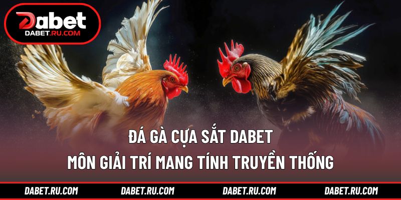Đá gà cựa sắt DABET